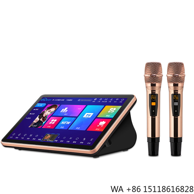 Outdoor Furniture Brand - Nuovissimo Sistema Audio Professionale per KTV