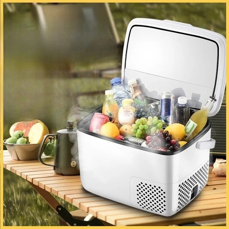 Frigorifero per auto 220V /12V - Outdoor Furniture Zone recensione e prezzo