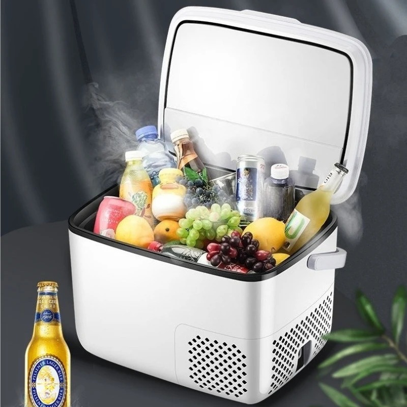 Frigorifero per auto 220V /12V - Outdoor Furniture Zone recensione e prezzo